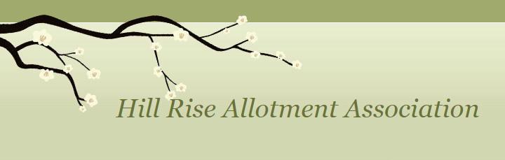 Hill Rise Allotments